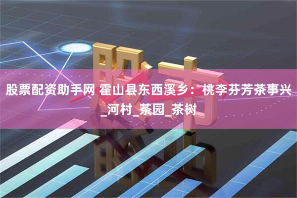 股票配资助手网 霍山县东西溪乡：桃李芬芳茶事兴_河村_茶园_茶树